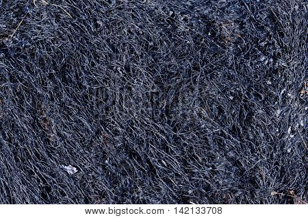 Structure of a burnt-out grass for use as a texture
