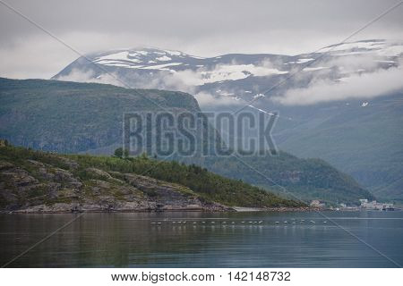the nature of northern Norway Summer in the mountains