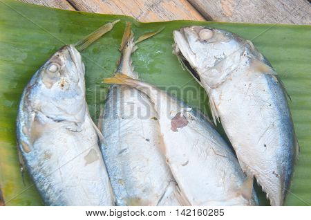 Thai raw mackerel fish on banana leaf