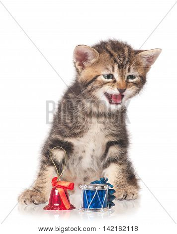 Cute kitten with accessories of celebration of new year isolated on white background
