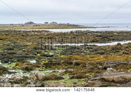 coastal scenery around Penmarch in the Finistere department of Brittany in France