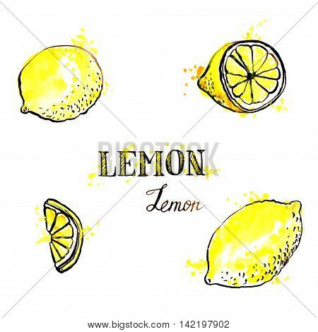 hand drawn lemons, ink and watercolor drawing fruit with paint stains