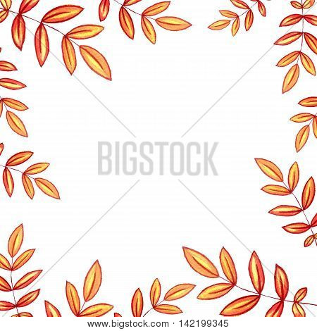 background with autumn watercolor rowan leaves , nature template, foral frame, hand drawn design elements