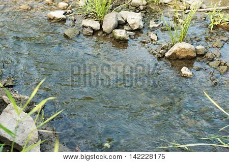 Stones in a babbling brook in the wild