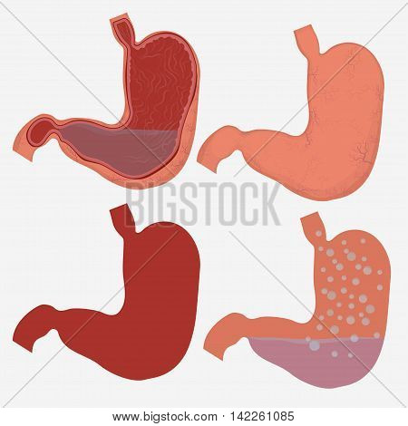 Stomach vector digestive diagram set, human anatomy image. Illness respiratory cancer graphics