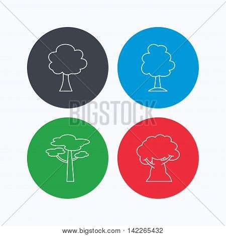 Pine tree, oak-tree icons. Forest trees linear signs. Linear icons on colored buttons. Flat web symbols. Vector