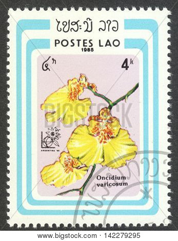 MOSCOW RUSSIA - CIRCA MAY 2016: a post stamp printed in LAOS shows Oncidium varicosum orchid the series 