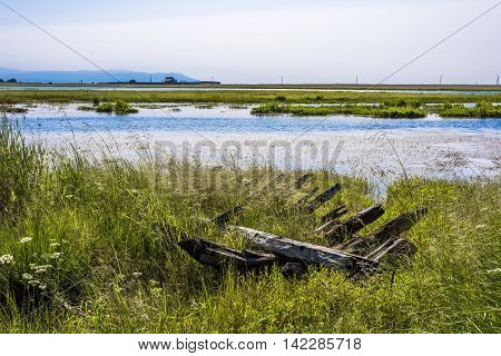 On the grassy banks of the river North of Kika lies the skeleton of a very old fishing boat, which is almost all overgrown with grass.