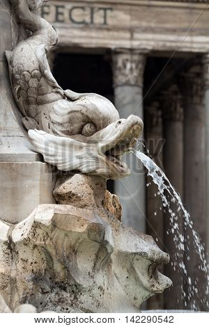 Close up of Fountain of the Pantheon (Fontana del Pantheon) at Piazza della Rotonda .. Rome Italy