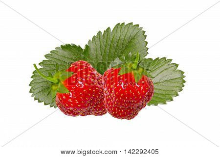 Ripe red strawberries with leaves on isolated background