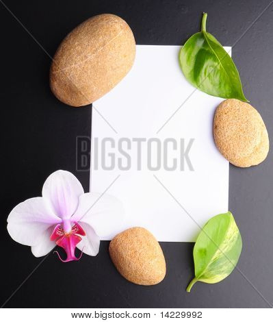 스파
