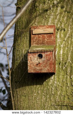Vertical Shot Of A Birdbox In A Tree