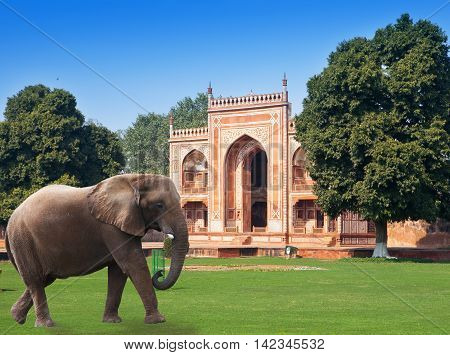 elephant on a grass before Gate to Itmad-Ud-Daulah's Tomb (Baby Taj) (17th century)at Agra Uttar Pradesh India
