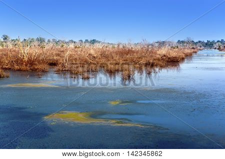 bogs in the period of a drought on the way to the temple Neak Pean near Siem Reap Cambodia
