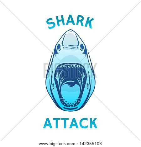 Angry shark head phrase object. Vector illustration.