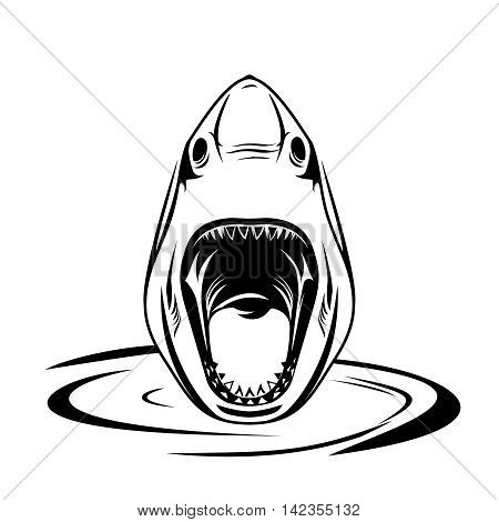 Shark with open mouth isolated on a white background.