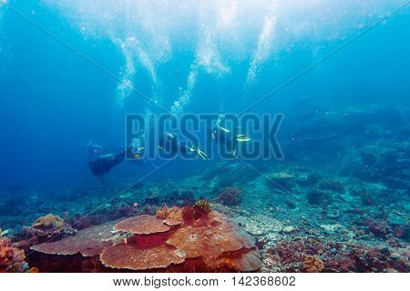 Group of divers going in ocean deep Bali