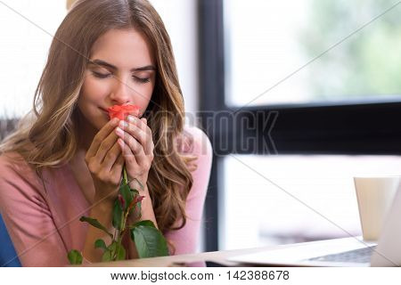 Nice scent. Delighted beautiful young woman sitting at the table and holding rose while smelling it