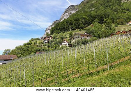 beautiful landscape at Quinten at Lake Walen, Switzerland
