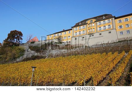 MEERSBURG, GERMANY - Nov 12, 2015: Castle and vineyard of Meersburg in Germany on Nov 12, 2015. It is one of the most popular cities on Lake Constance.