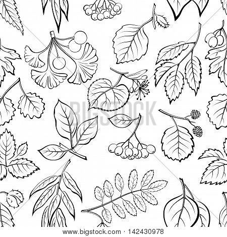 Seamless Nature Background with Pictogram Tree Leaves, Willow, Hawthorn, Poplar, Aspen, Ginkgo Biloba, Elm, Alder, Linden, Rowan, Chestnut, Black Chokeberry and Beech. Black on White. Vector