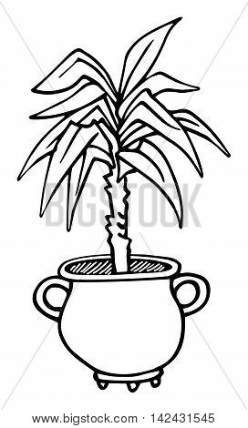Potted plant, cartoon hand drawn, isolated on white, vector illustration
