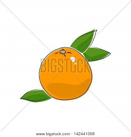 Citrus Grapefruit Isolated on White Background, Tropical Fruit Pomelo ,Vector Illustration