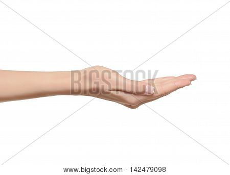 Open a woman's hand, palm up isolated on white background.