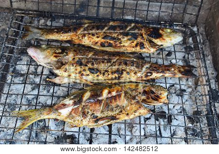 Fresh and healthy sea fish seabass and goldline on a grid over burning charcoal grilled and almost ready to be served