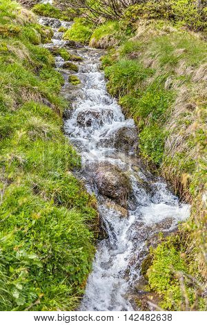 Mountain stream in a meadow in the rear at Ahrntal Kasern Tyrol Italy