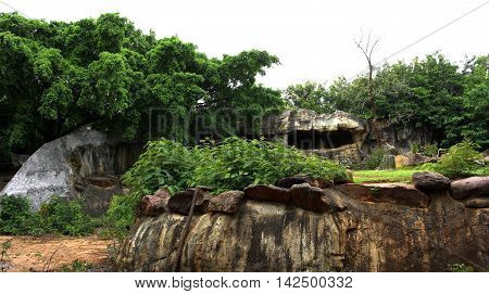 Cave for tiger at Korat zoo in Thailand.
