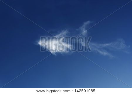 Fighting Fish Cloud Texture On The Sky.