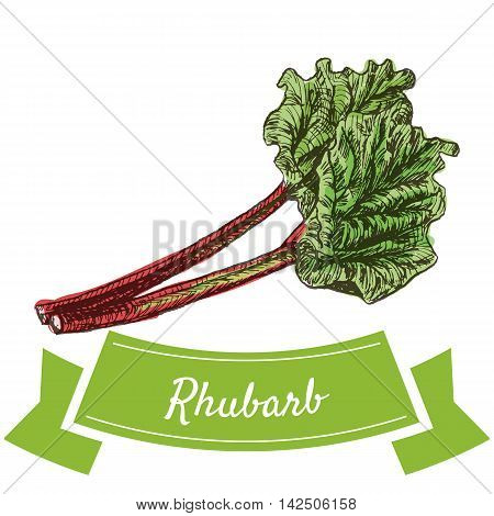 Vector illustration colorful set with rhubarb. Illustration various of vegetables on white background