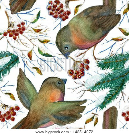 Winter seamless background with birds, conifer in snow, tree branches and red berry on white.  Design art collection for Christmas and New Year print. Hand drawn watercolor repeated illustration