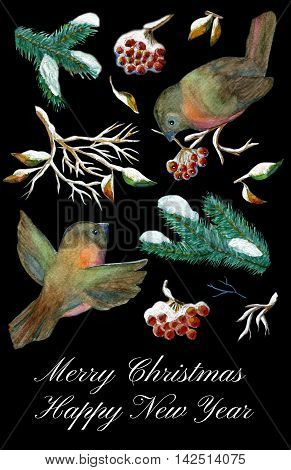 Winter holidays set with birds, conifer, tree branch and red berry on black. Design art collection for Christmas and New Year print and cards. Hand drawn watercolor illustration