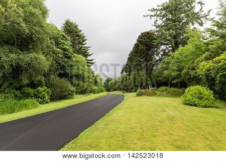 travel and countryside concept - asphalt road at connemara in ireland