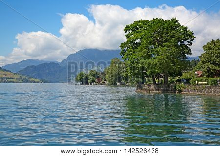 Summer landscape in the lake Luzern region nearby city of Weggis