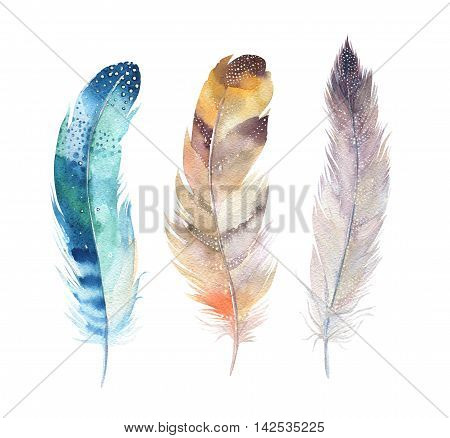Hand drawn watercolor paintings vibrant feather set. Boho style wings. illustration isolated on white. Bird fly design for T-shirt invitation wedding card.Rustic Bright colors.
