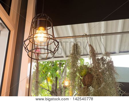 Edison's light bulb and lamp in modern style. Warm tone light bulb lamp. Lamps in coffee shop.