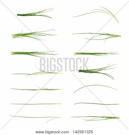 Green onion scallions isolated over the white background, set of multiple different foreshortenings