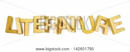 Word Literature made of colored with paint wooden letters, composition isolated over the white background