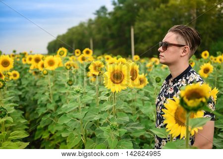 Man in a sunflower field. man is standing in a sunflower field with a blue sky background. Travaling and nature concept.