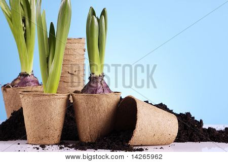 Concept de jardinage