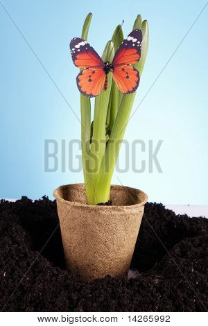 Concept de jardinage