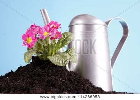 Concept de jardinage