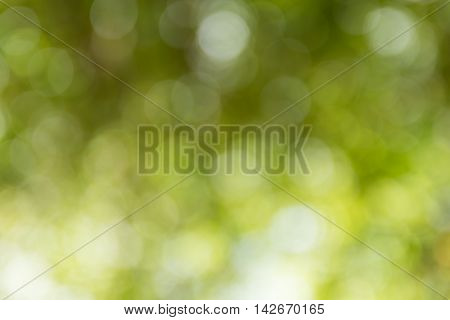Blurred Yellow Lights Circular Bokeh Abstract For Christmas Background