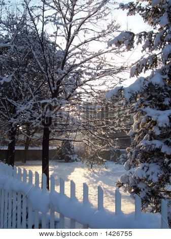 A Snowy Picture With Sunlight