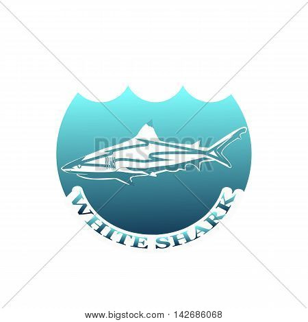 Shark concept logo with blur background. Vector illustration