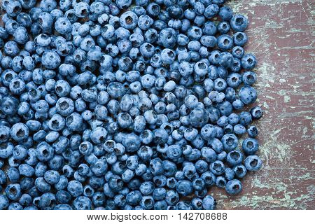 Ripe and fresh picked blueberries close up with copyspace