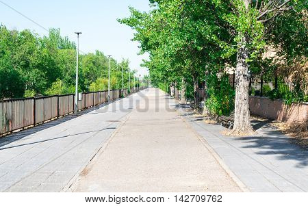 Walkway park in the city. Summer time.